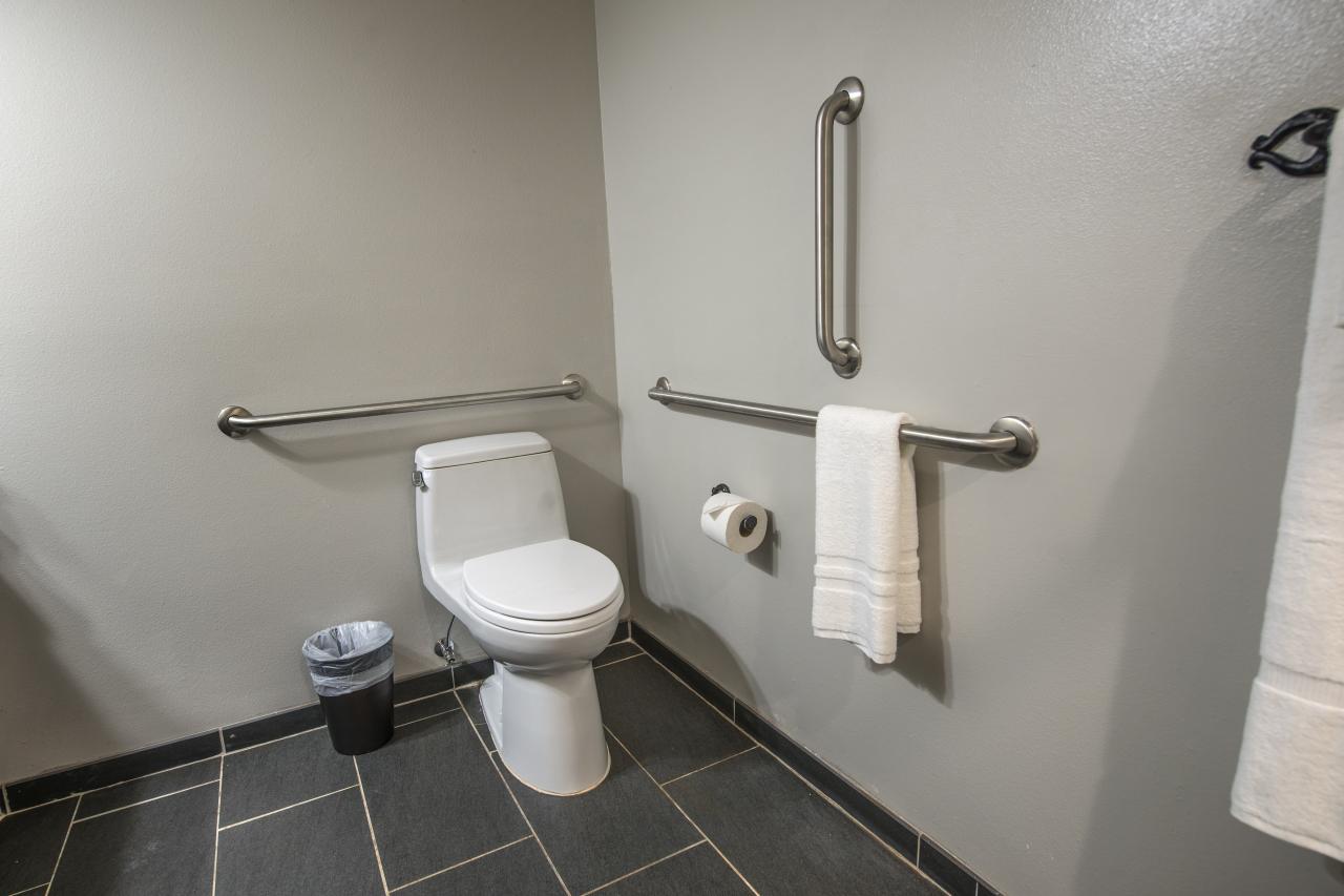 A view of the ADA options in the bathrooms for the king rooms at the Ozark Folk Center State Park